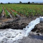 agua campo riego