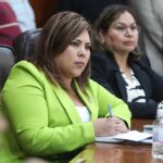 Dip. Diana Ruelas Gaitán -