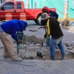 bache