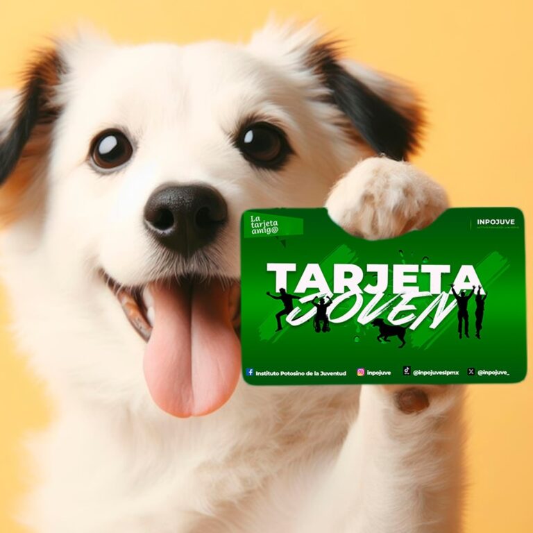 tarjeta