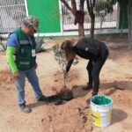 cuidado ambiental