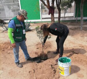 cuidado ambiental