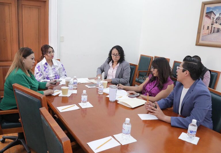Comisión de Igualdad de Género