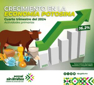 crecimiento