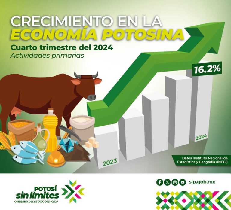 crecimiento