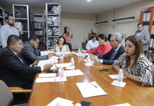Comisión de Asuntos Indígenas