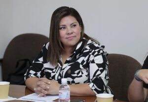 Dip. Diana Ruelas Gaitán