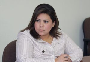 Dip. Diana Ruelas Gaitán