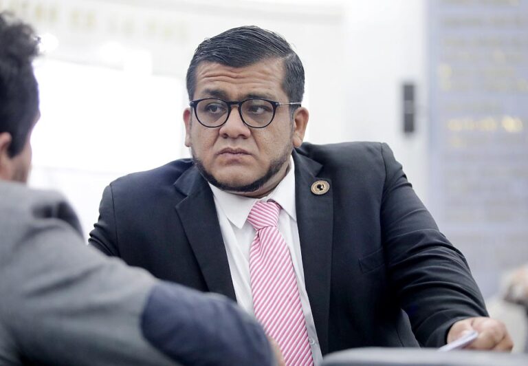 Dip. José Roberto García Castillo