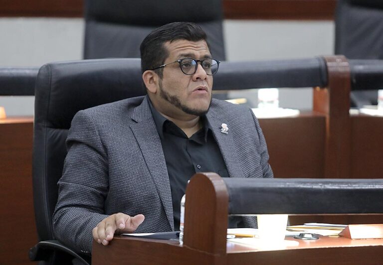 Dip. José Roberto García Castillo
