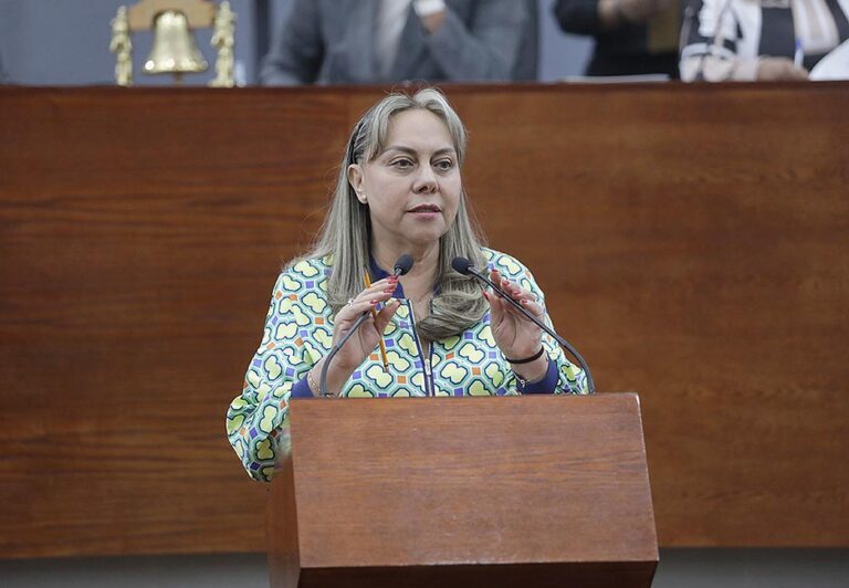 Dip. Ma Sara Rocha Medina