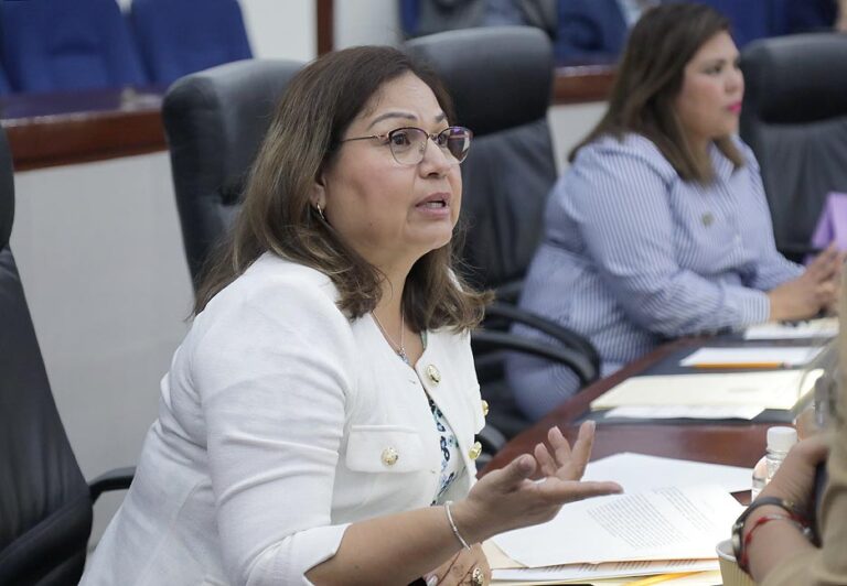 Dip. María Leticia Vázquez Hernández