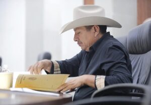 Dip. Tomás Zavala González