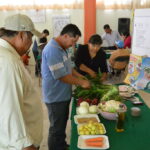 alimentacion