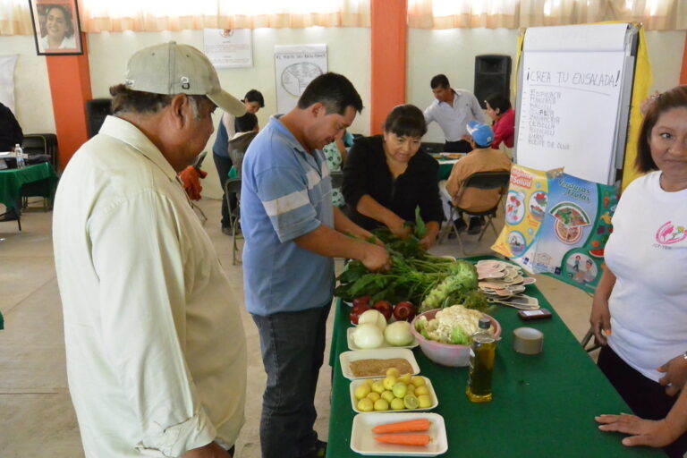 alimentacion