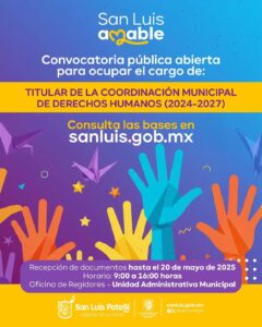 consulta