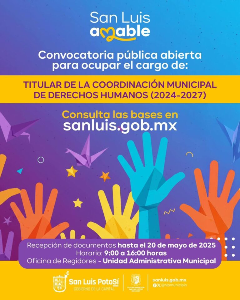 consulta