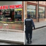 fake