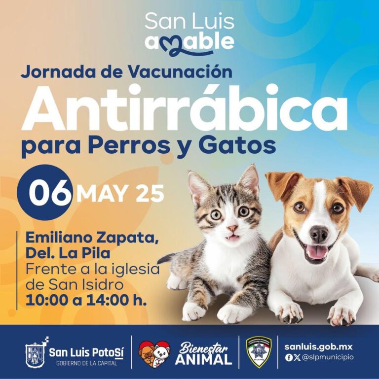 jornada de vacunacion