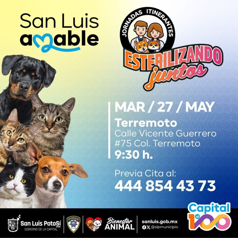 juntos