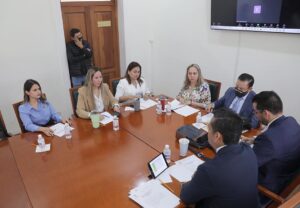 Comisión de Gobernación