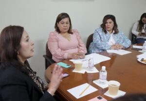 Comisión de Movilidad, Comunicaciones y Transportes.