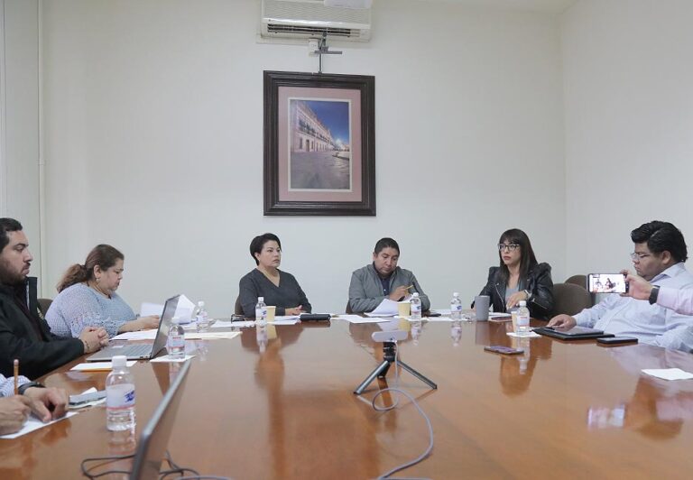 Comisión de Niñas, Niños, Adolescentes, Juventud y Deporte.
