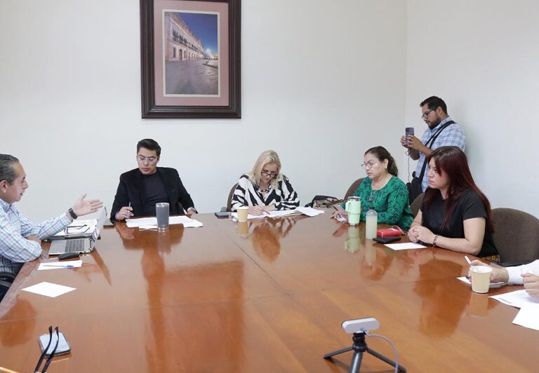 Comisión de Seguridad Pública
