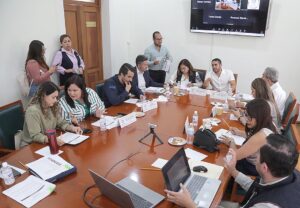 Comisiones Unidas.