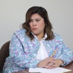 Dip. Diana Ruelas Gaitán