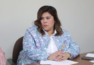 Dip. Diana Ruelas Gaitán