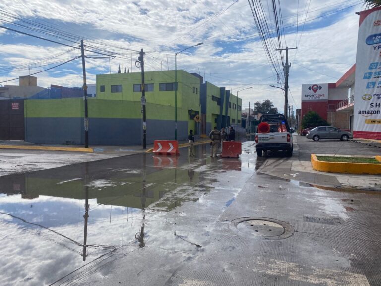 Imagen de WhatsApp 2025-06-01 a las 10.46.42_5b7a6547