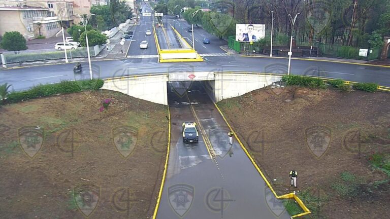 Imagen de WhatsApp 2025-06-01 a las 12.58.44_f231e52d