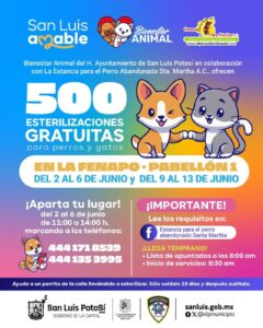 Imagen de WhatsApp 2025-06-06 a las 12.00.46_b17804f9