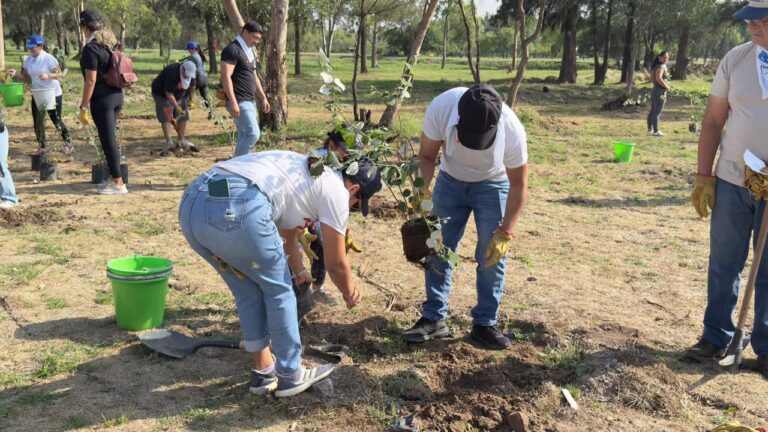 Imagen de WhatsApp 2025-06-07 a las 18.04.01_6284348f