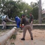 Imagen de WhatsApp 2025-06-08 a las 12.41.37_9ffd2d59