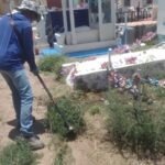 Imagen de WhatsApp 2025-06-09 a las 13.29.21_69615e36