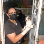 Imagen de WhatsApp 2025-06-10 a las 13.51.59_16c59b63