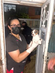 Imagen de WhatsApp 2025-06-10 a las 13.51.59_16c59b63