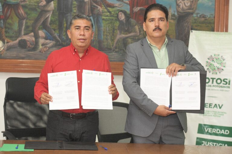 Imagen de WhatsApp 2025-06-13 a las 12.38.13_d14b1d92