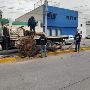 Imagen de WhatsApp 2025-06-22 a las 12.14.07_37bc1db0
