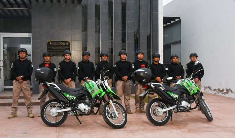Imagen de WhatsApp 2025-06-25 a las 13.34.45_aaa28c88