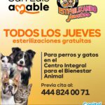 Imagen de WhatsApp 2025-06-25 a las 14.15.55_a44fe900
