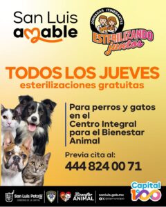 Imagen de WhatsApp 2025-06-25 a las 14.15.55_a44fe900