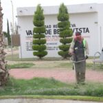 Imagen de WhatsApp 2025-06-26 a las 12.24.00_e63437be