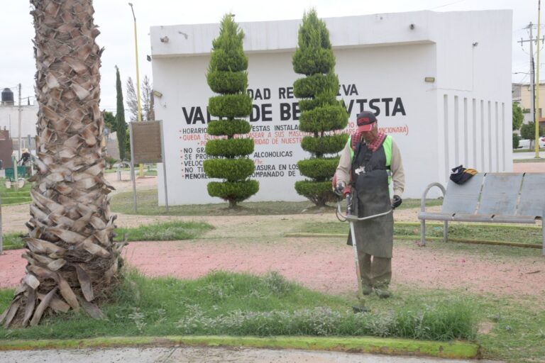 Imagen de WhatsApp 2025-06-26 a las 12.24.00_e63437be