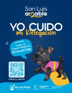 Imagen de WhatsApp 2025-06-30 a las 12.18.56_673b79c6