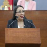 Dip. Brisseire Sánchez López-