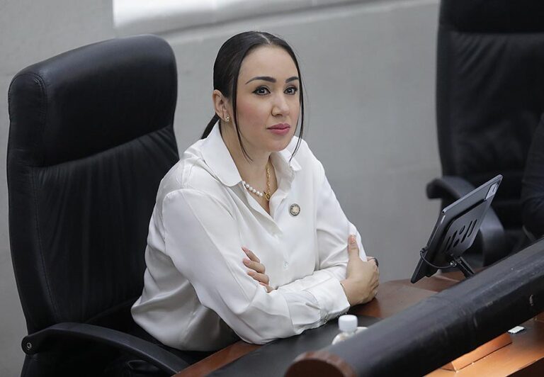 Dip. Brisseire Sánchez López