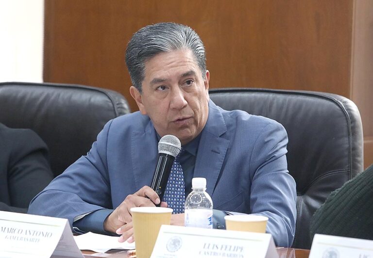 Dip. Marco Antonio Gama Basarte -